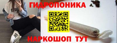 PSILOCYBIN Абакан