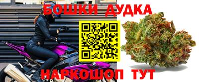 PSILOCYBIN Абакан