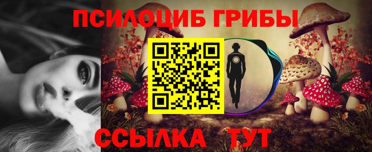 Галлюциногенные грибы ЛСД  Вход с VPN  Абинск 